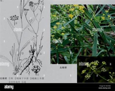 新沂手机游戏代理与互联网信息服务的融合发展