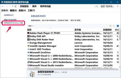 Win10系统安装IIS互联网信息服务完整指南