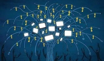 网络信息管理新举措 我国启动互联网信息服务备案用户真实身份信息电子化核验试点